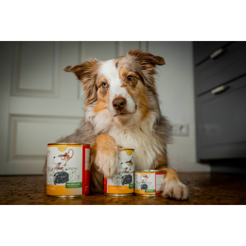 Dog Wet pet food Shepherd's Pan (Schäfers Pfanne) 200g 6 Piece -6- Anifit