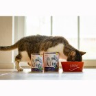 Katze Nassfutter Fisch à la Mode 400g 6 Stück -3- Anifit