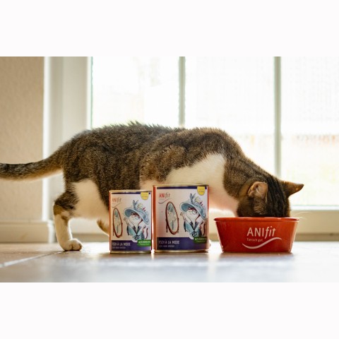 Katze Nassfutter Fisch à la Mode 400g 6 Stück -3- Anifit
